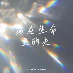 落在生命里的光 - R&B温柔女声
