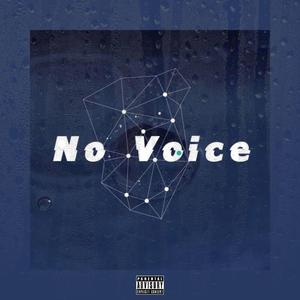 No Voice