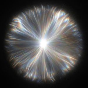 Black Beatles & Panda(Mashup)