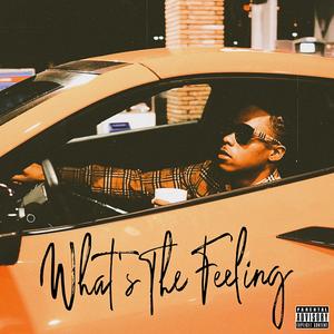 What's The Feeling