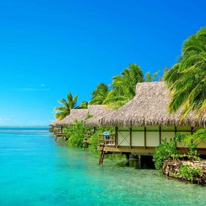 月光洒在安静的小路上