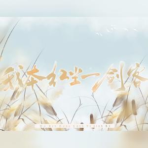 我本红尘一剑客