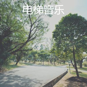 精致的假期环境