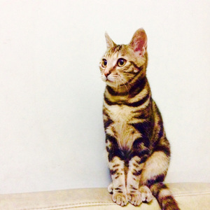 那就(prod.beatsbyaura)