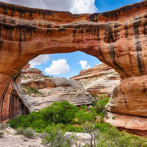 故乡的月亮 (思念版)