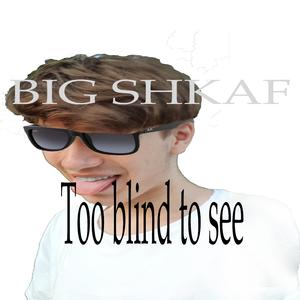 Too Blind to See