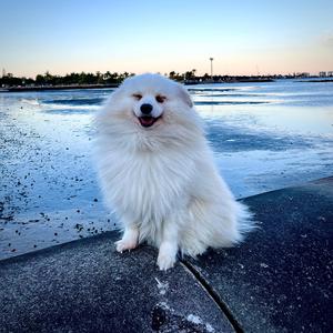 GONNA GET YA (GOTCHA MIX)