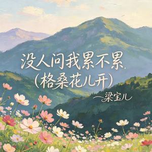 没人问我累不累（格桑花儿开）