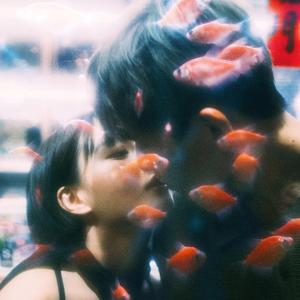 ディストラクション・ガール（Distraction Girl）