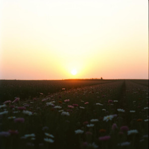 輝きて生まれ変わる春の朝