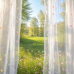 Blossom Days