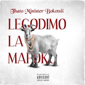 Botlhoko Ba Go Tlhoka Motswadi Poem (feat. Darkest Clean Gent)