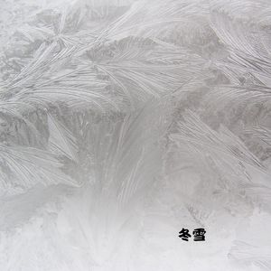 落英缤纷 (钢琴曲)