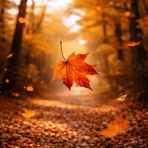 Erlkönig auf Frenchcore