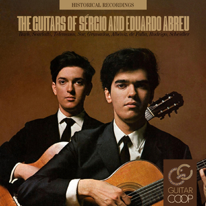 Sonata in D: I. Allegro