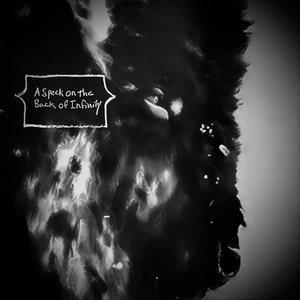 Like a Bird Without Wings