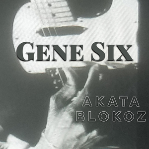 Akata Blokoz