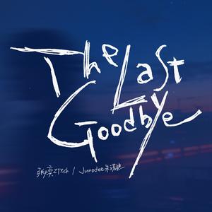 The Last Goodbye