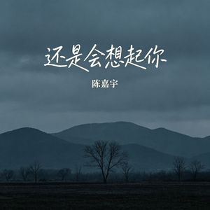 还是会想起你