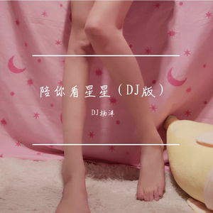陪你看星星（DJ版）