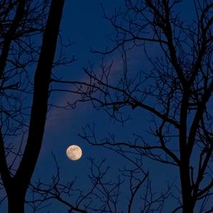 Sea Of My Discretion (Remastered 2021)