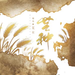 芒种（翻自 音阙诗听）