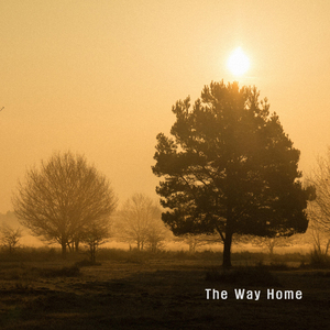 집으로 가는 길