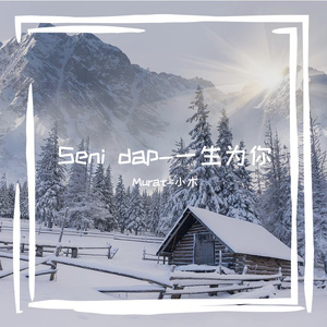 Seni dap -一生为你