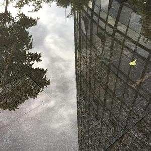 我们就在一起，好不好