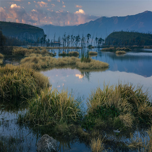 利他的なお祝い