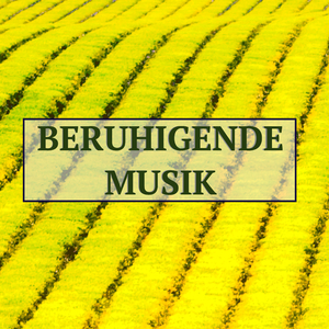 Well Being and Serenity (Erholung und Regeneration Musik)