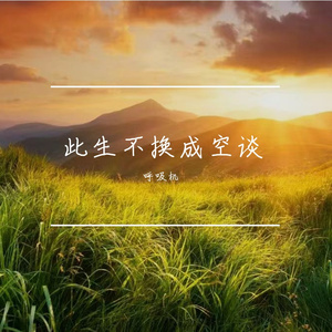 此生不换成空谈