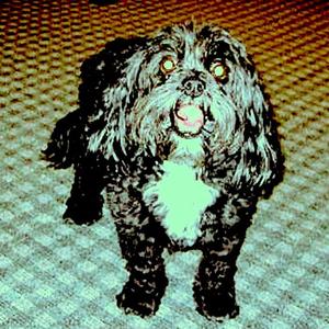 Sells Like Teen Spirit