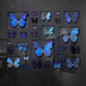 【FREE】“4LUV”(prod by YOUNGVY)