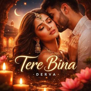 Tere Bina
