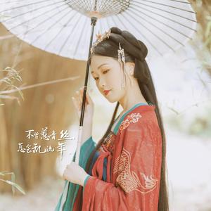 青丝（二胡版）