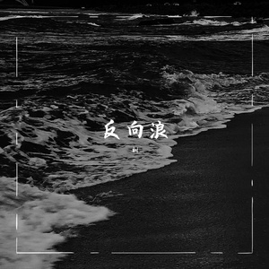 反向浪