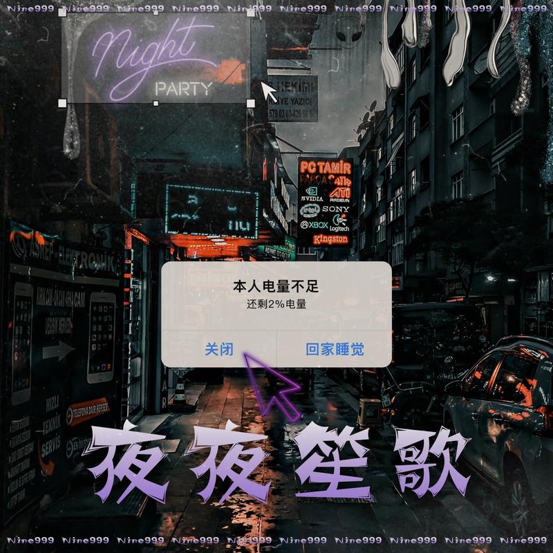 夜夜笙歌封面