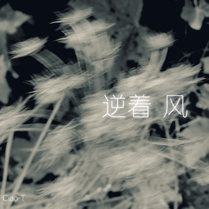 逆着风（高燃版）