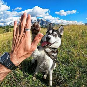 简单的快乐（欢乐版）