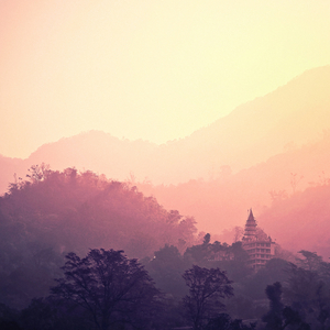 Enchanted Shakras