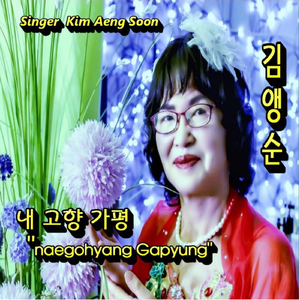 내고향 가평 (Mr) [Live]