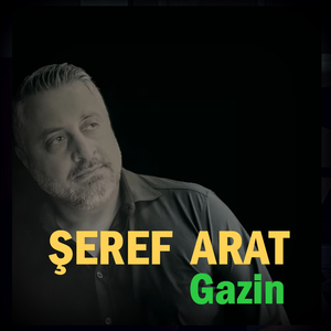 Gazin