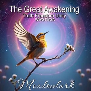 The Great Awakening