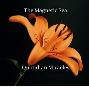 Quotidian Miracles