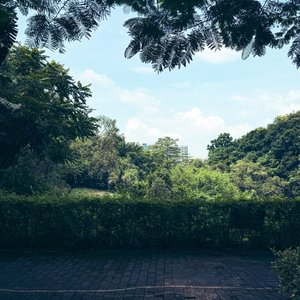 缘尽.wav