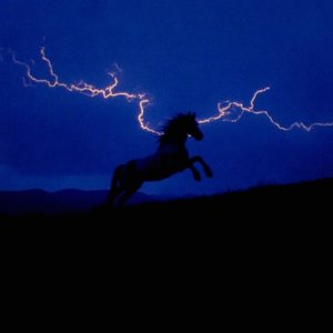 Fast Cars & Superstars.