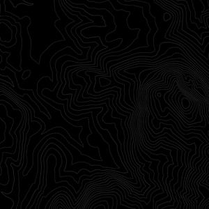 motion