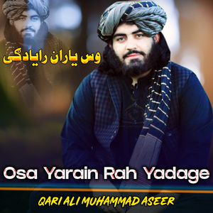 Baiya Ba Qaimat Ke Safiyat