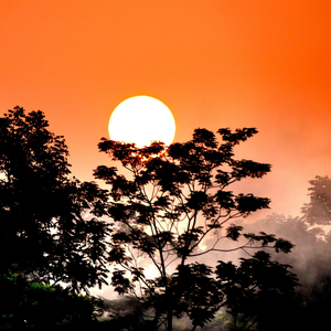 Flamingo (Relaxing Piano Music Version)